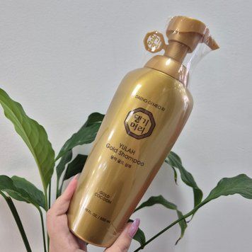 Укрепляющий шампунь с экстрактом золотого шелкопряда Daeng Gi Meo Ri Yulah Gold Shampoo 12838 фото