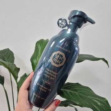 Шампунь для жирной кожи головы Daeng Gi Meo Ri Heartleaf Shampoo For Oily Hair 13218 фото