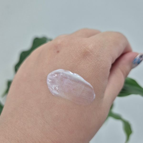 Увлажняющий солнцезащитный крем с березовым соком Round Lab Birch Juice Moisturizing Sunscreen SPF 50+ PA++++ 12679 фото
