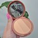 Сухие румяна Too Cool for School Artclass by Rodin Blusher de Ginger 12299 фото 2