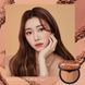 Сухие румяна Too Cool for School Artclass by Rodin Blusher de Ginger 12299 фото 3
