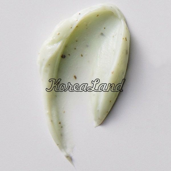 Мʼяка пінка для вмивання з чаєм матча B : Lab Matcha Hydrating Foam Cleanser 12787 фото