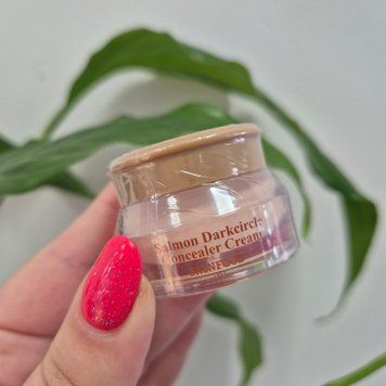 Кремовый консилер для зоны вокруг глаз Skinfood Salmon Dark Circle Concealer Cream 12499 фото