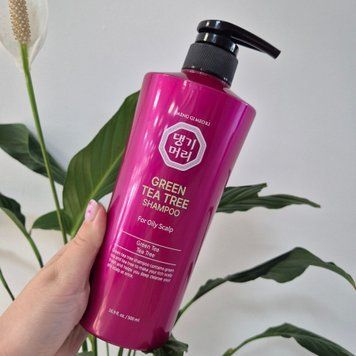 Шампунь для жирної шкіри голови Daeng Gi Meo Ri Green Tea Tree Shampoo For Oily Scalp 12801 фото