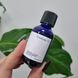 Тонер-есенція з екстрактом кореня астрагала Pyunkang Yul Essence Toner 12147 фото 1